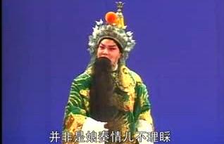 金歌剧青年著名艺术家:王红娟
