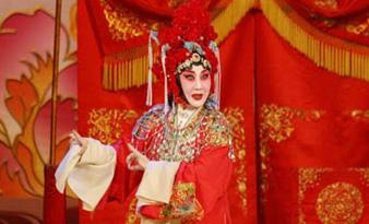 孙毓敏的《活着的玫瑰》与武汉歌剧迷会议
