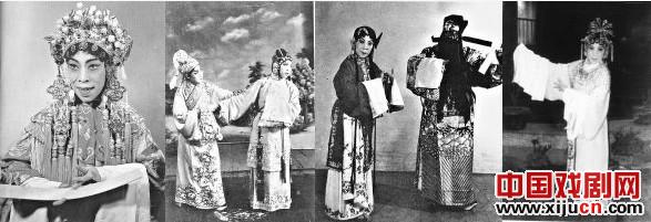 三金梨园的花严俊
